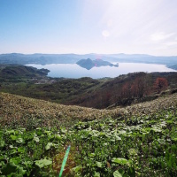 ToyakoSpring_resize
