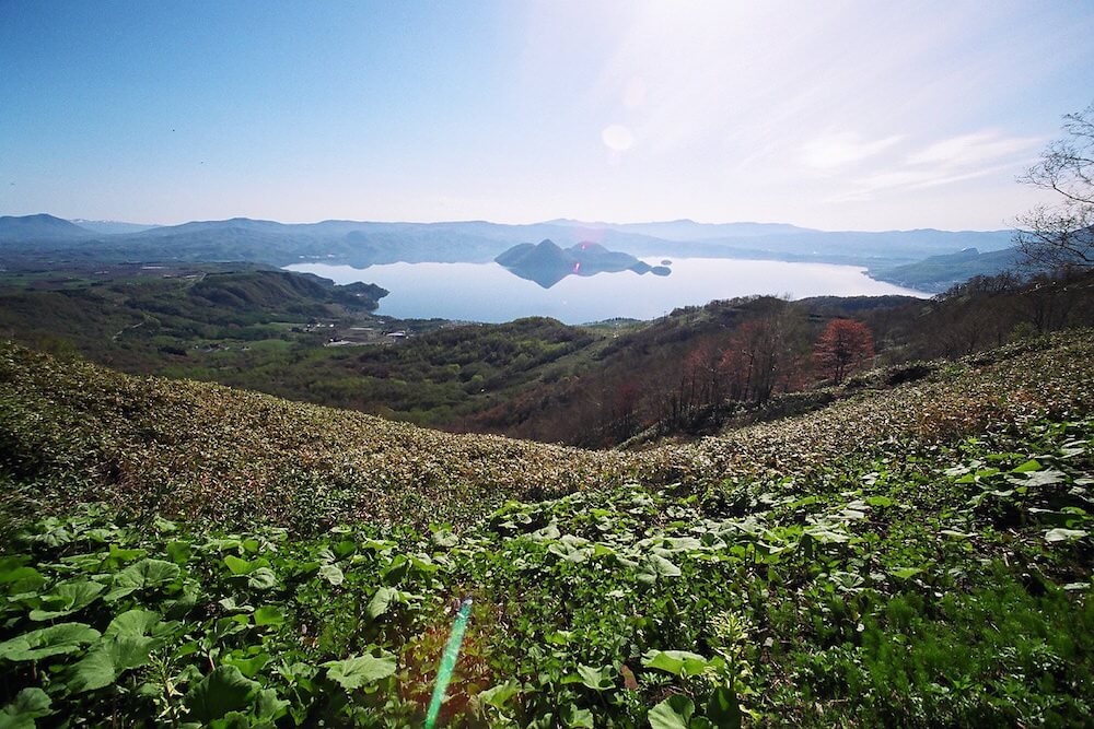 ToyakoSpring_resize