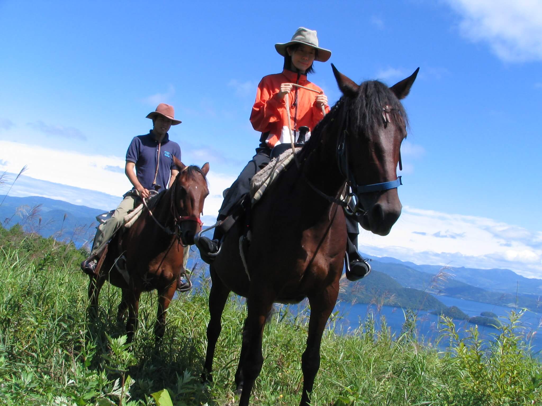 HorseTrekkingSummer