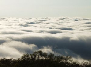 ザ・ウィンザーホテル洞爺 リゾート&スパで楽しむ絶景の雲海体験