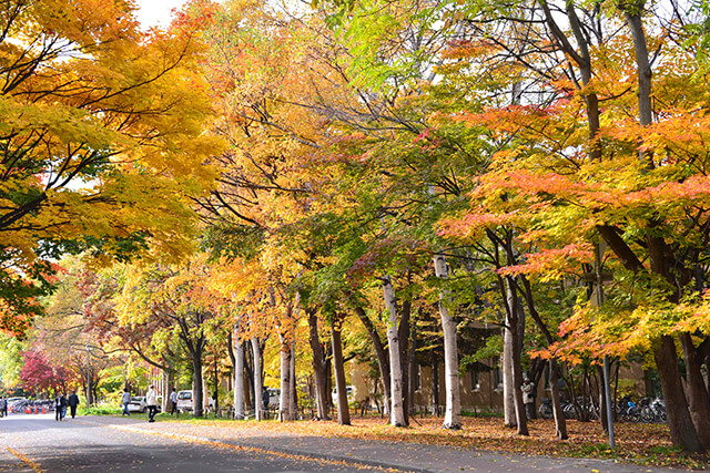 冬の始まりは北海道から 11 12月北海道旅行の How To 気候 観光おすすめスポット リゾ トーヤ