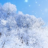 パウダースノーを愛するスキーヤーを応援