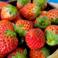 strawberry