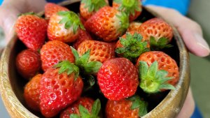 strawberry