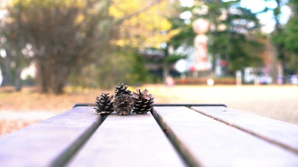 22626345_MotionElements_pinecone-and-park-vimage-a-0122